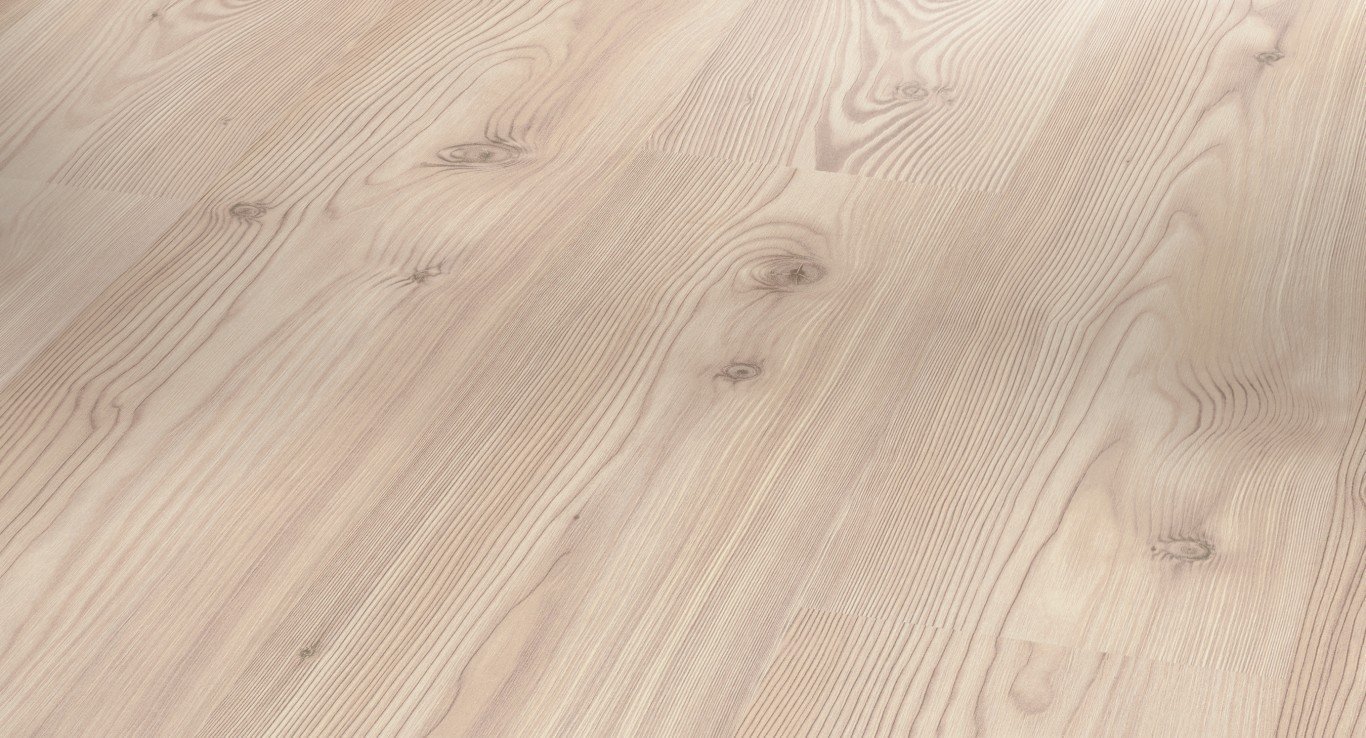 Pino Pinoñero (Textura)